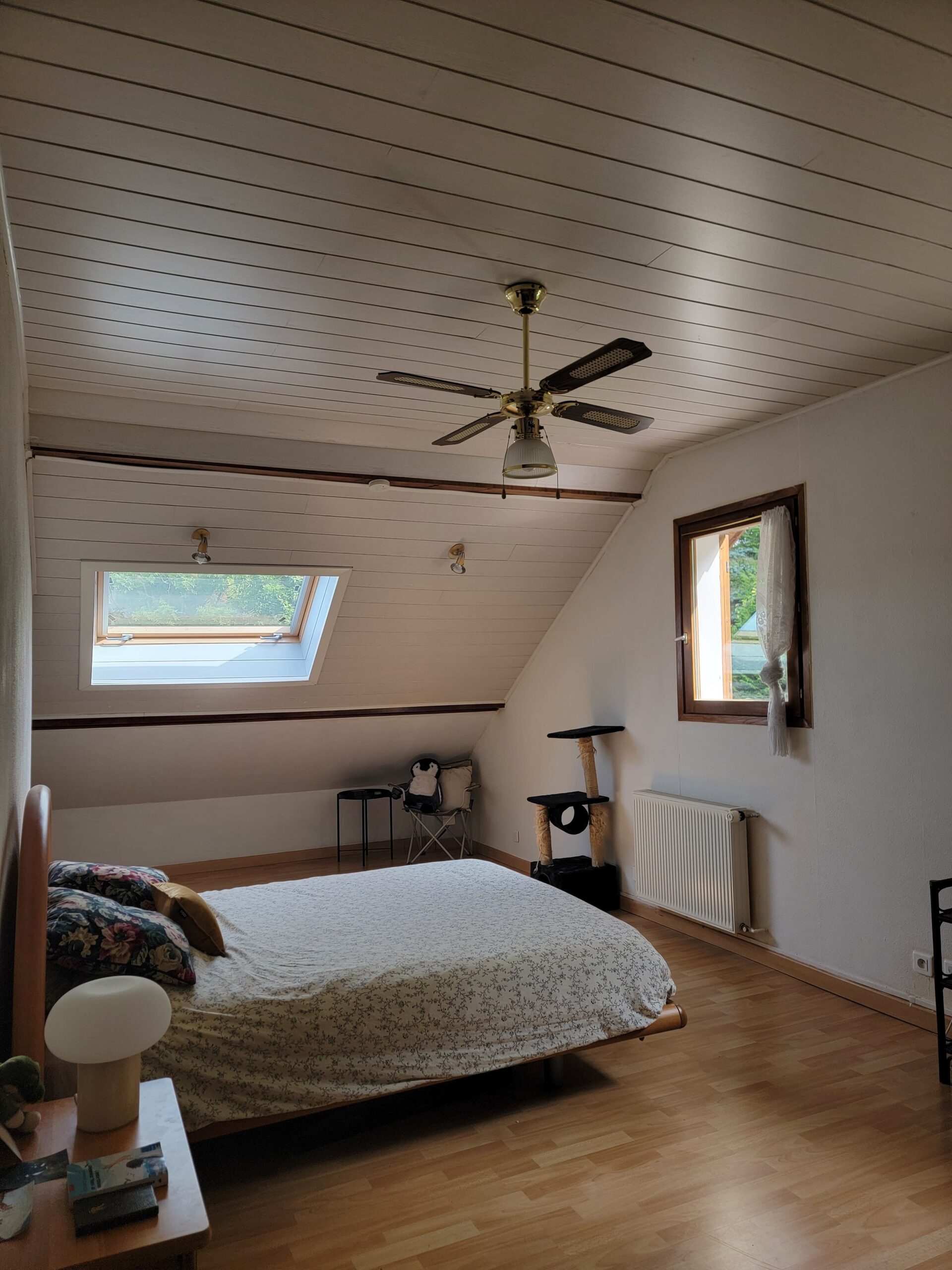 img 20250912 wa0018(1)