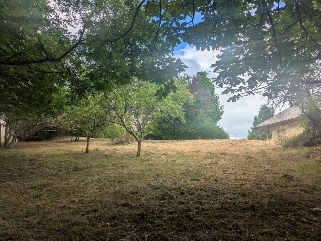 pxl 20250717 090820740.mp