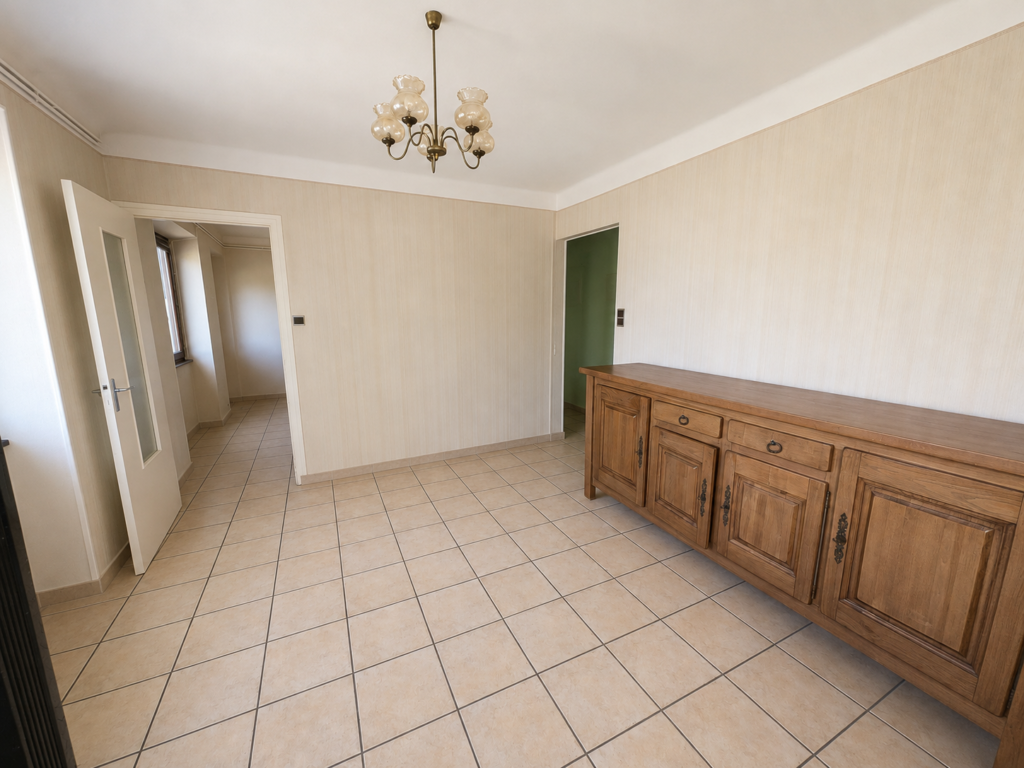 MAISON JUMELEE TYPE T3 80m² - 35m² COMBLES AMENAGEABLES - TERRAIN 350m² salon sud ok