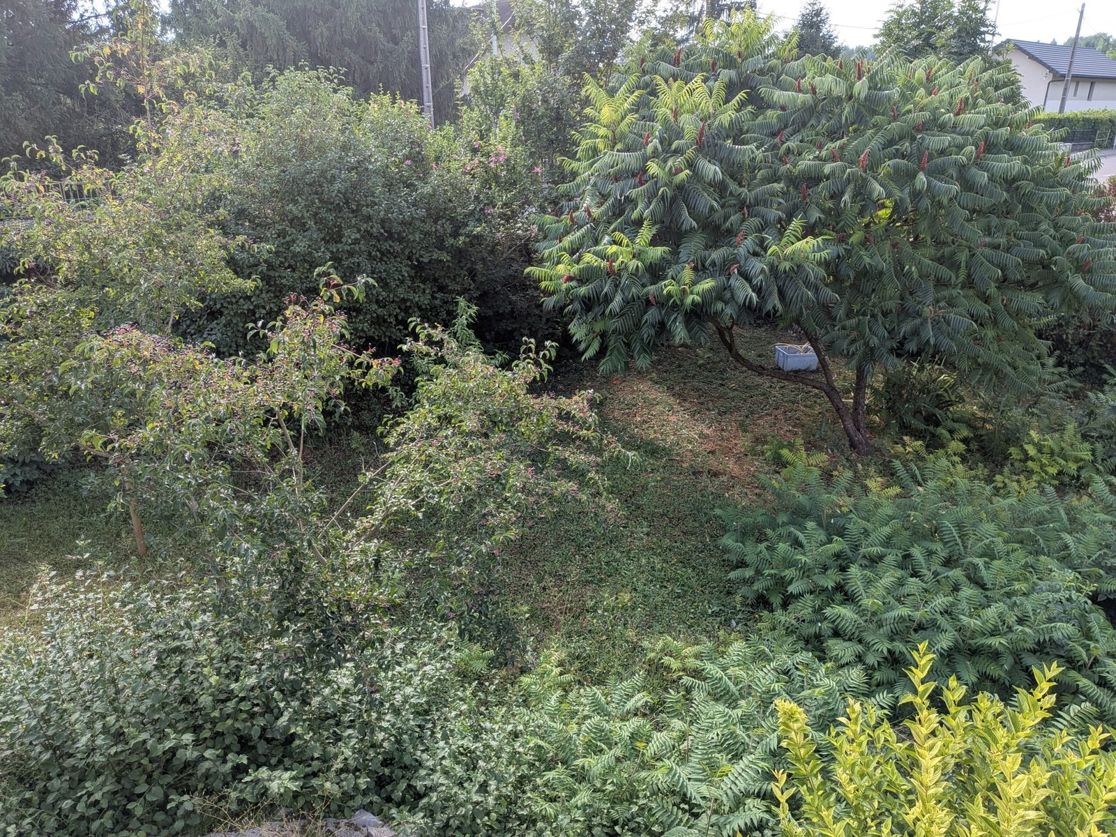 jardin est